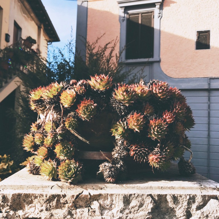 fullsizerender-jpg-3