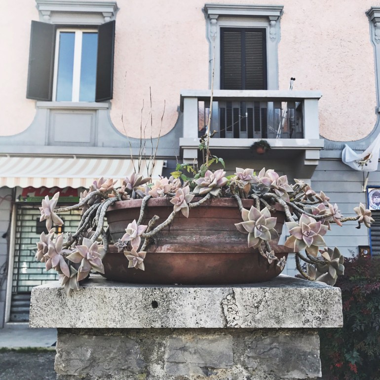 fullsizerender-jpg-6