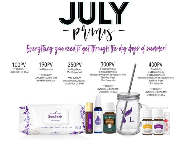 65730444_10101144480065134_6387455614351572992_n